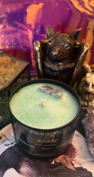 Midnight in the Study