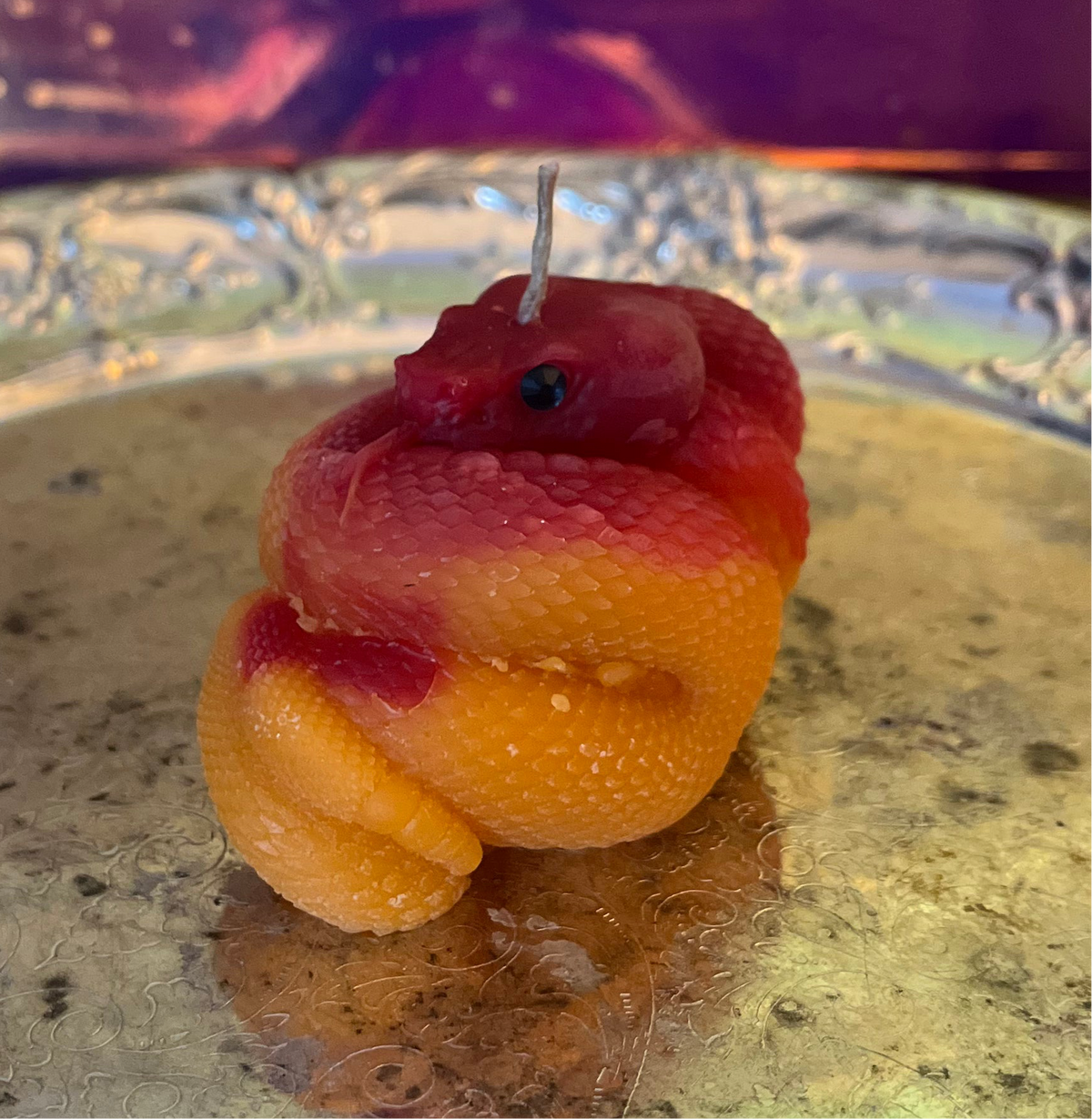 Custom Beeswax Snake