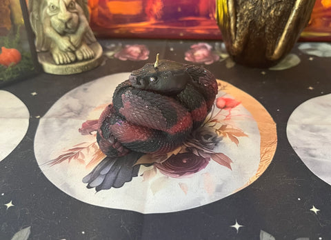 Black & Pink Beeswax Snake