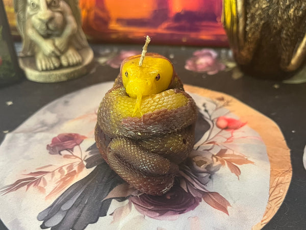 Red, Yellow, and Brown Beeswax Snake