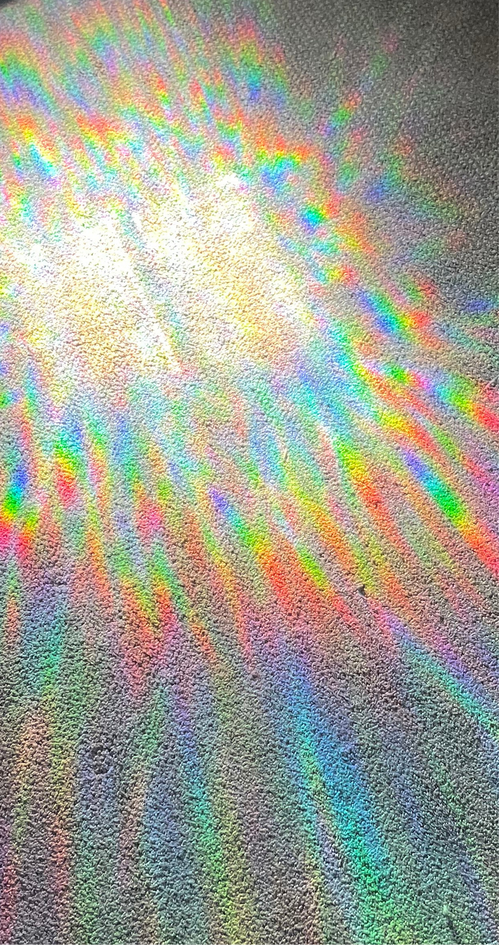 B O O! Sun Catcher