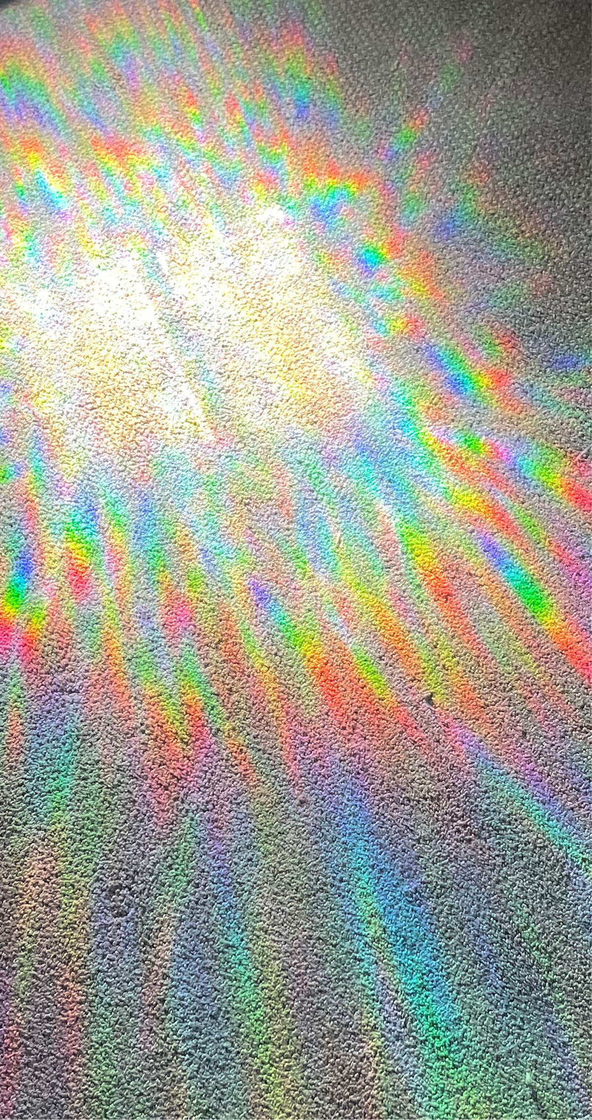 B O O! Sun Catcher