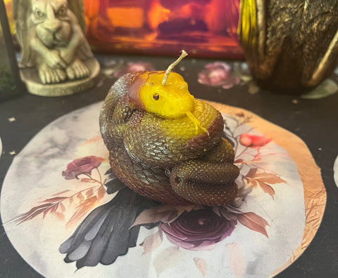 Red, Yellow, and Brown Beeswax Snake