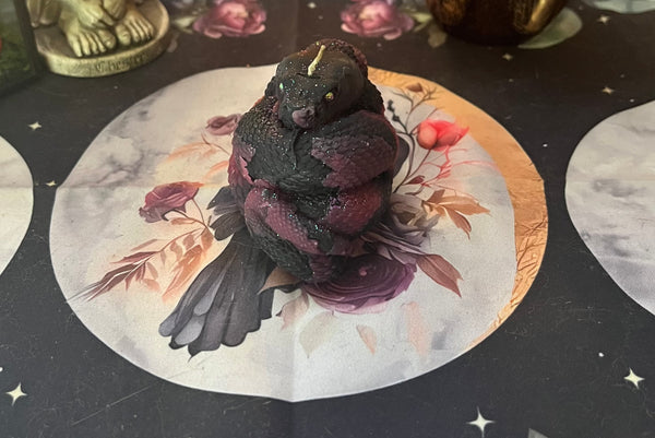 Black & Pink Beeswax Snake