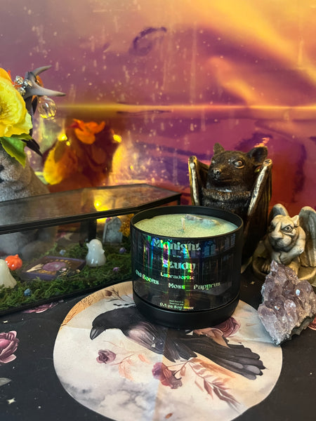 Midnight in the Study